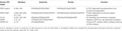 Casein Kinase 1 and Human Disease: Insights From the Circadian Phosphoswitch